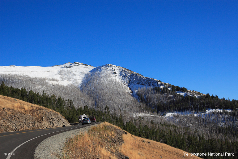 Slideshow: Yellowstone